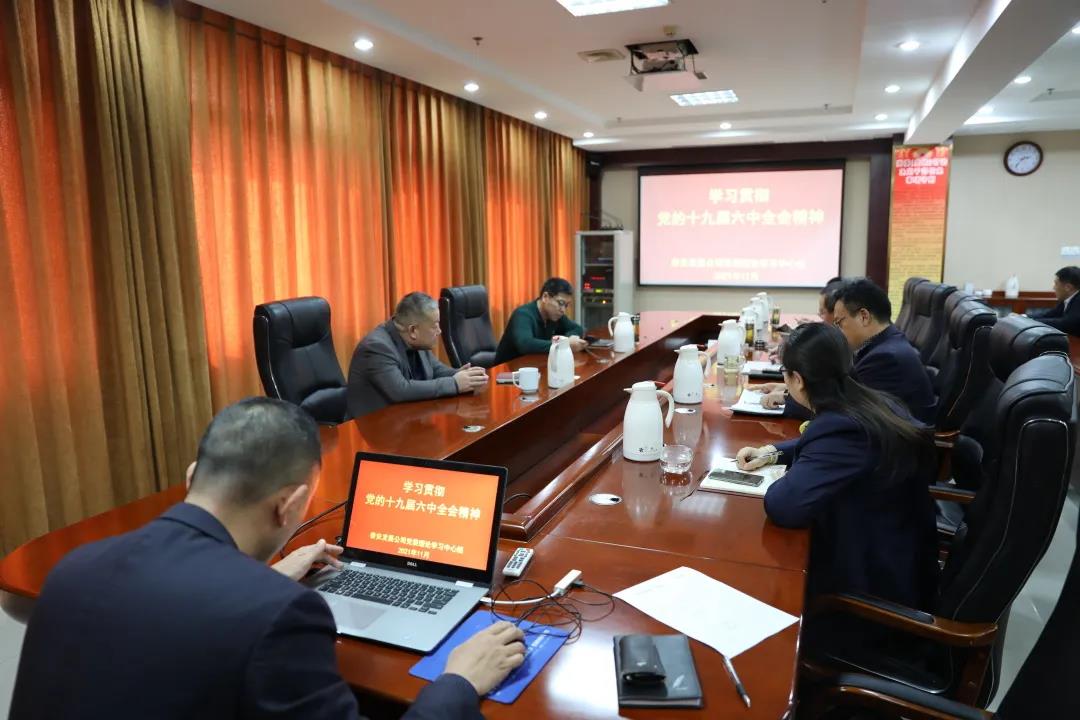 泰安發(fā)展公司黨委理論學習中心組集體學習研討黨的十九屆六中全會精神
